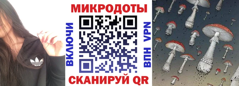 Галлюциногенные грибы Cubensis  Купить  Белокуриха 